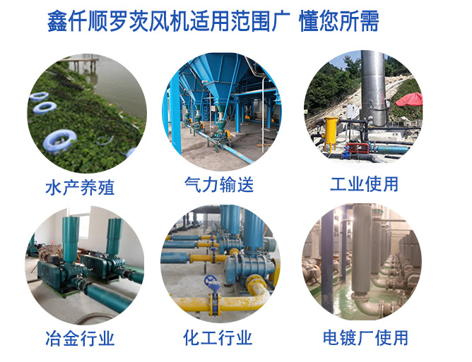三叶罗茨鼓看片福利在线厂家解说