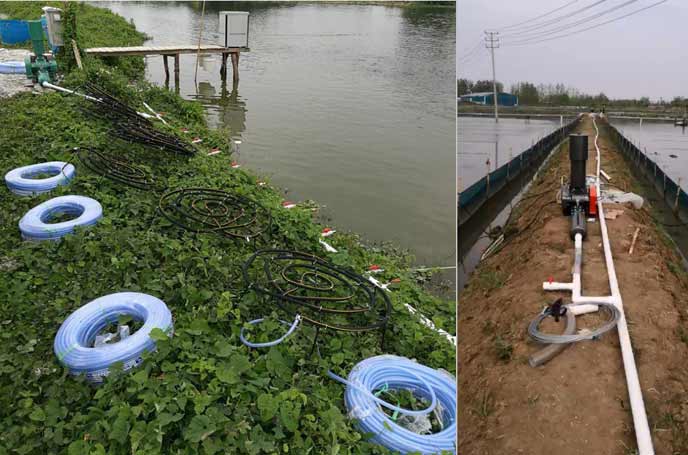 水产养殖中罗茨鼓看片福利在线曝氧气作用效果明显好