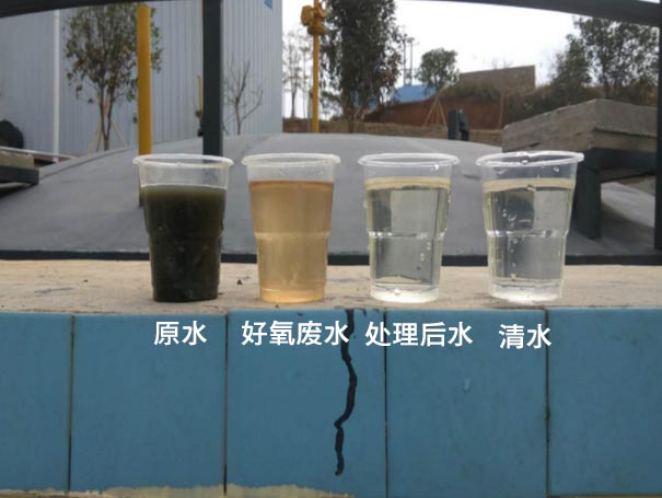 污水曝气罗茨鼓看片福利在线应用案例 污水曝气罗茨鼓看片福利在线应用案例