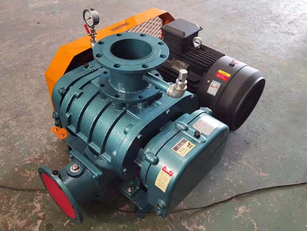 罗茨看片福利在线厂家发货江西罗茨真空泵XQSSR125v5台(图1)